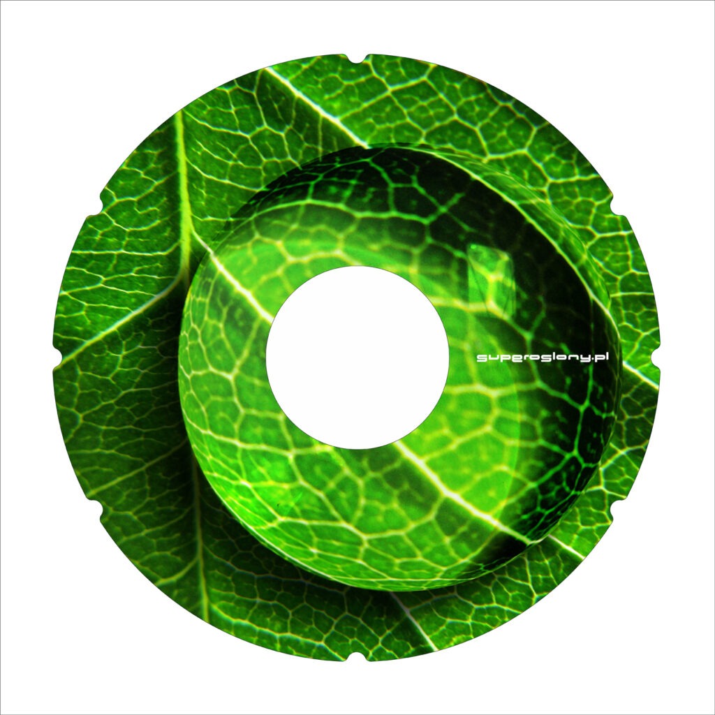 A41